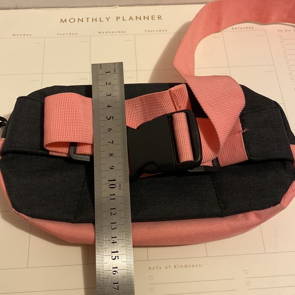 Champ - Picture 4 of 4